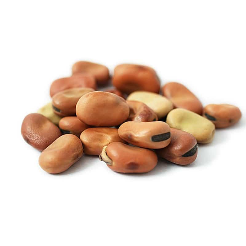 Broad Beans Large 1kg – Premium Quality Protein-Rich Lentils