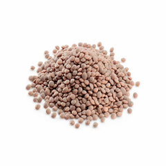 Lentils Red Whole (Dark) 1kg – Premium Quality Whole Red Lentils